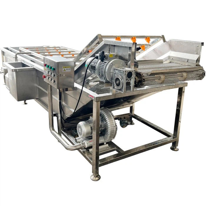 Industrial fruit washing machine 1