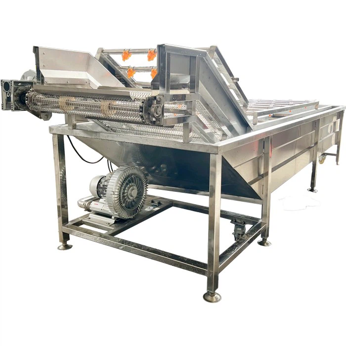 Industrial fruit washing machine