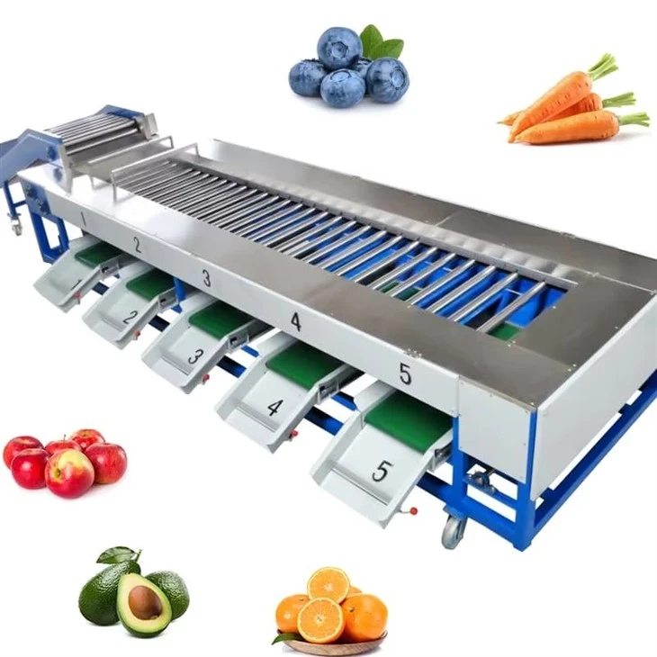 Potato Sorting Machine
