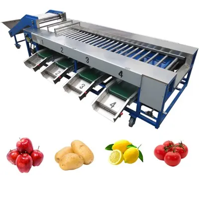 Txiv Hmab Txiv Ntoo Zaub Sorting Machine